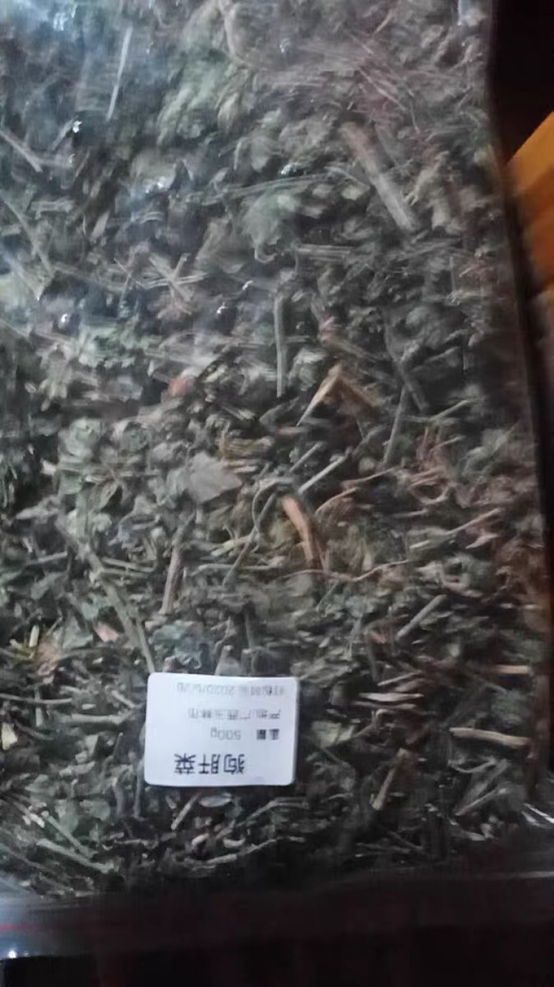 狗肝菜九干菜猪肝菜路边青羊肝菜四籽马蓝狗肝菜