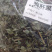 狗肝菜九干菜猪肝菜路边青羊肝菜四籽马蓝狗肝菜