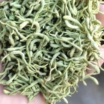 金银花，优质金银花，基地一手货源。全年有售。
