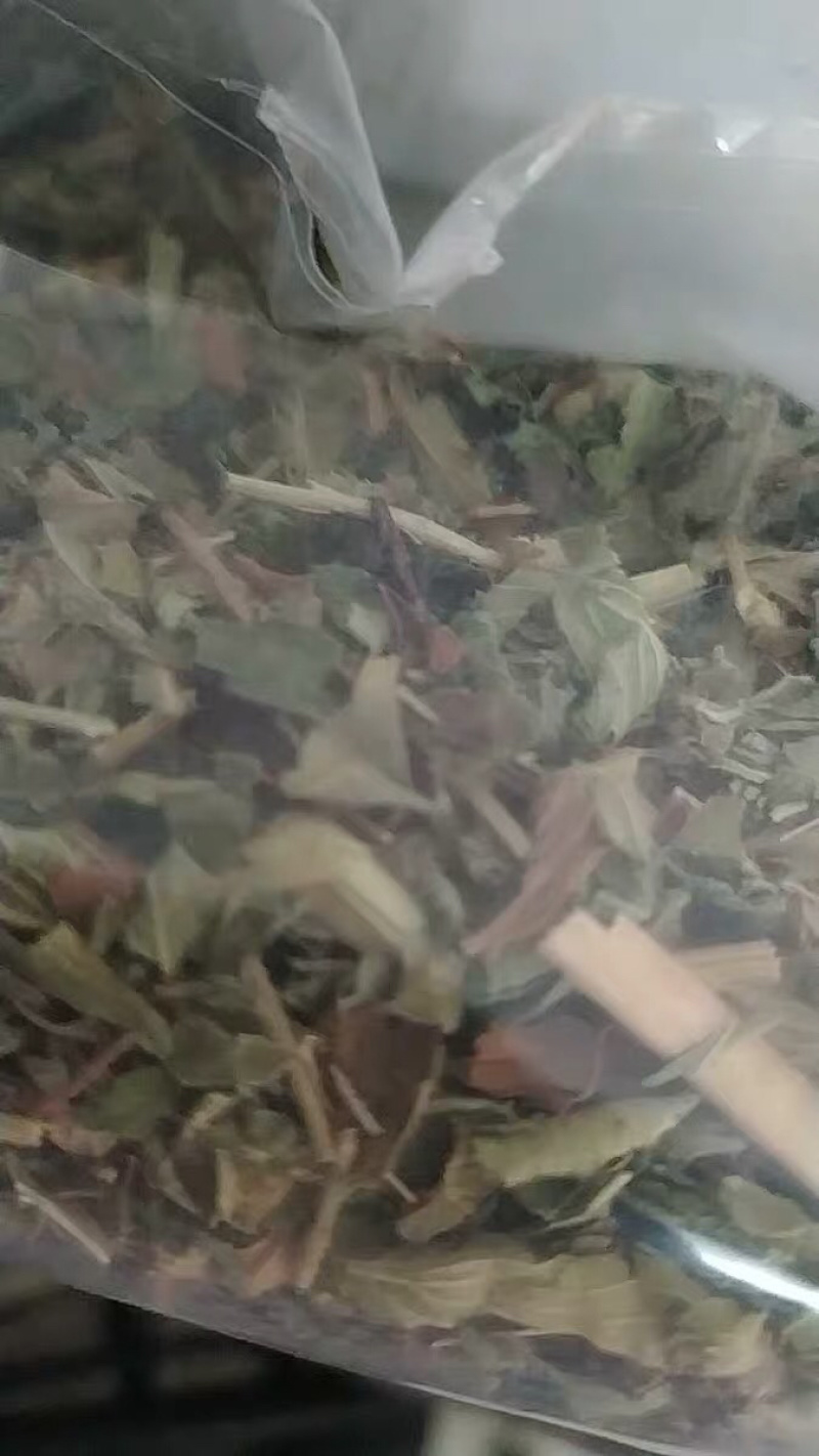 追风七五气朝阳草红心草头晕药路边黄蓝布正