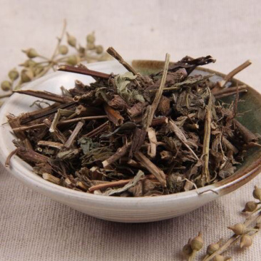 追风七五气朝阳草红心草头晕药路边黄蓝布正