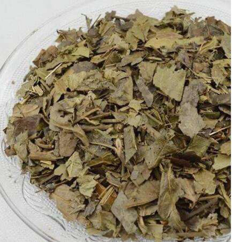 腹水草两头爬两头粘两头镇多穗草爬崖红