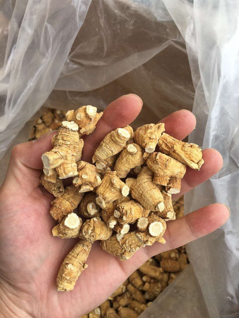 加拿大进口西洋参5克粒头
