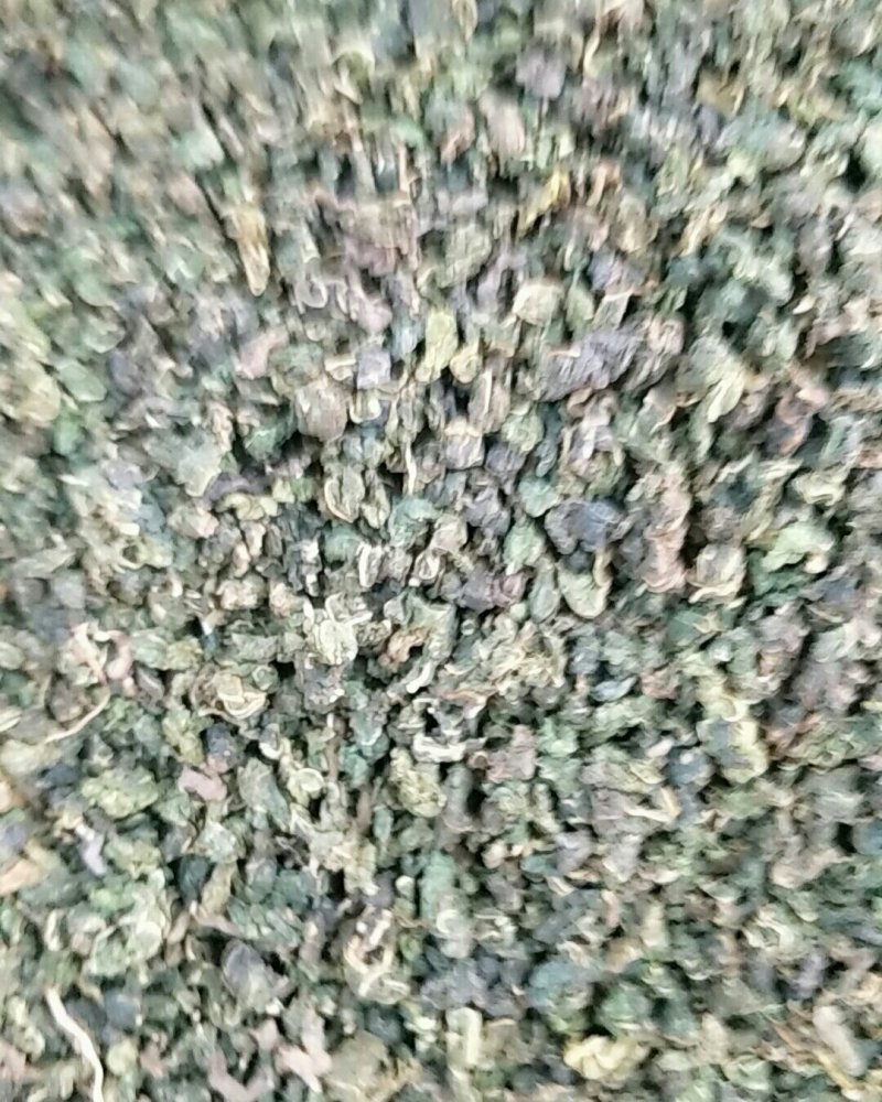 桑叶，常年批发供应药食两用中药材桑叶