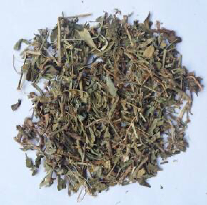 萹蓄扁蓄草扁竹竹节草中药材农家初选11111