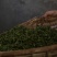 古树红茶云南古树红茶古树茶量大从优