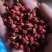 红豆杉果茶
