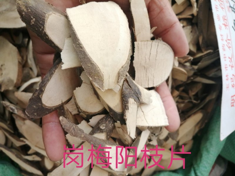 点称根、天星木根、小岗梅全根，颜色漂亮干度好，现货供应
