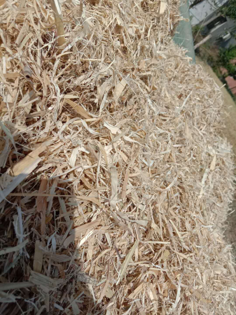 精品玉米秸秆适用于养殖