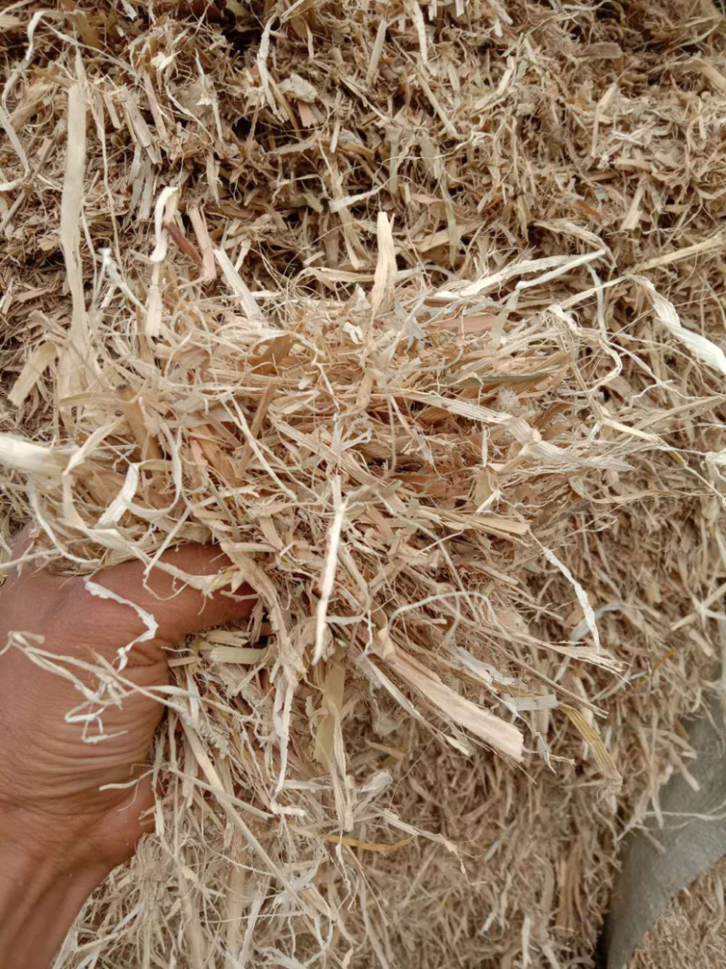 精品玉米秸秆适用于养殖