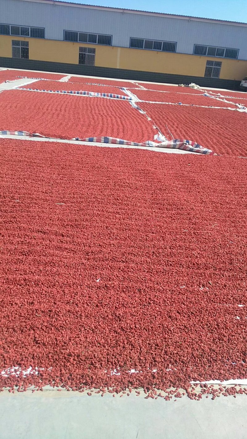 (产地批发)宁夏大粒枸杞干货农家天然无熏硫中宁苟杞干果