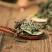中药材大蓟草大刺儿菜干燥全草马蓟虎蓟大蓟