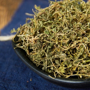 中药材鹅不食草鹅子不吃草石胡蒌中草药材鹅不食草