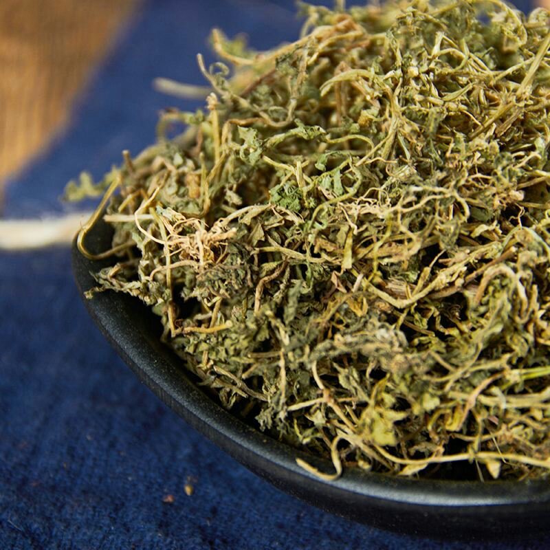 中药材鹅不食草鹅子不吃草石胡蒌中草药材鹅不食草