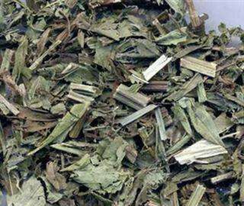 中药材泽兰草泽兰蛇王草1农家初选