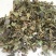 中药材泽兰草泽兰蛇王草1农家初选