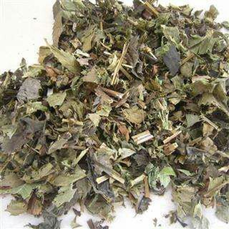 中药材泽兰草泽兰蛇王草1农家初选