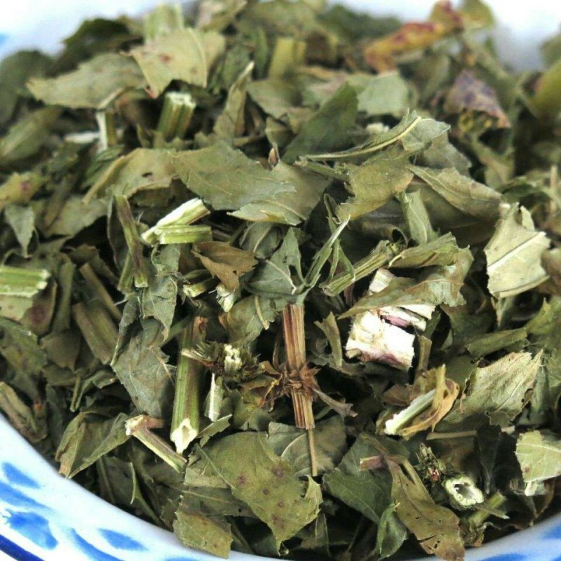中药材泽兰草泽兰蛇王草1农家初选