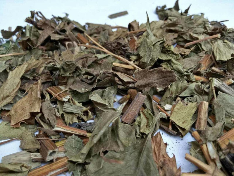 中药材泽兰草泽兰蛇王草1农家初选