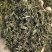 中药材墨旱莲旱莲草墨水草乌心草墨草旱莲草