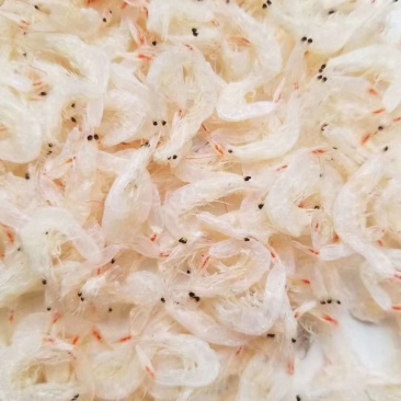 无盐淡干虾皮补钙神器