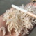 无盐淡干虾皮补钙神器