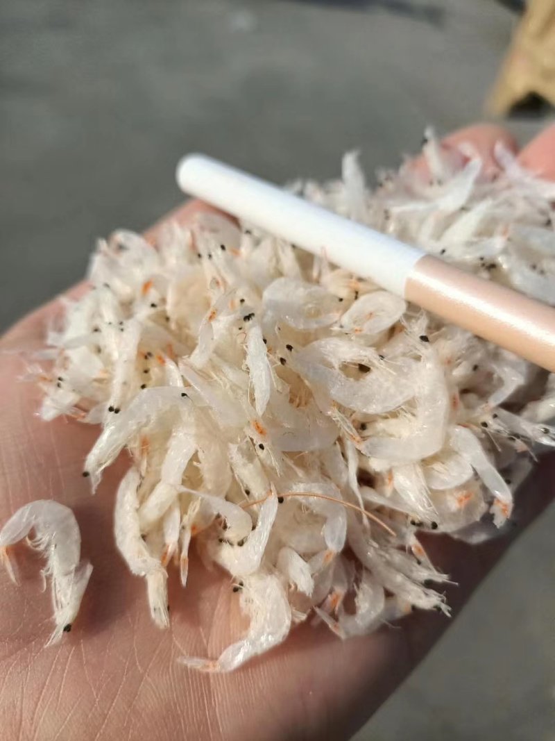 无盐淡干虾皮补钙神器