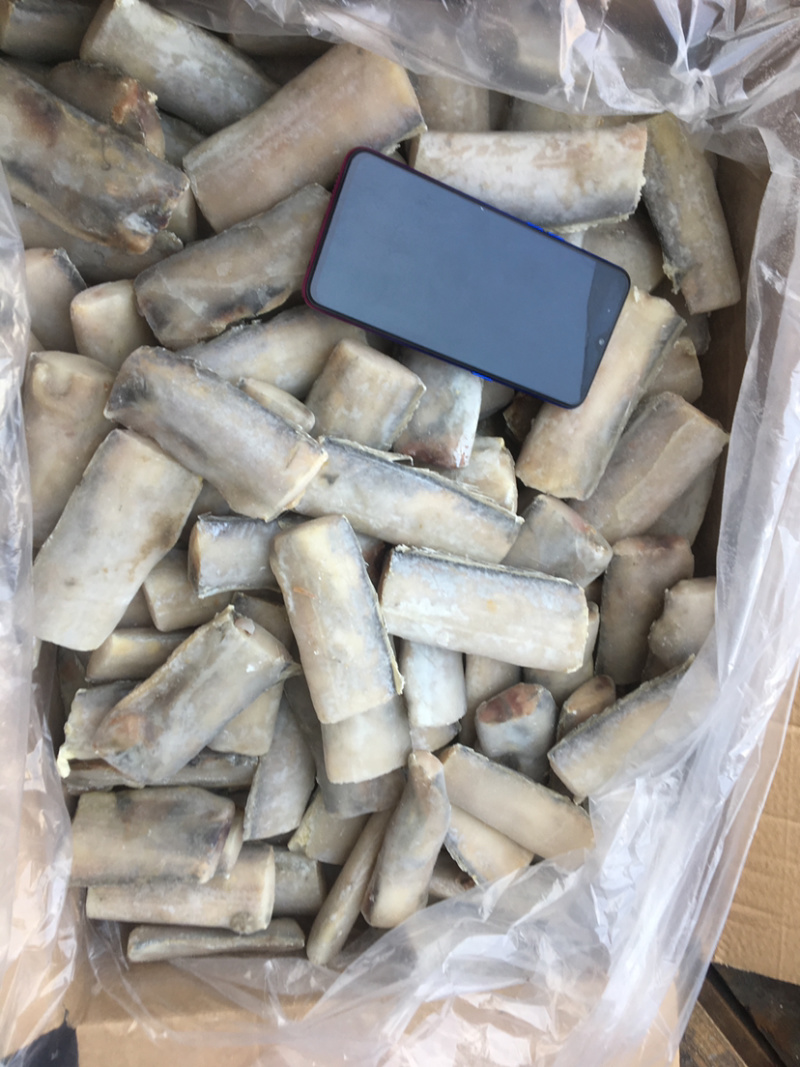 带鱼段，渤海湾精品带鱼段
