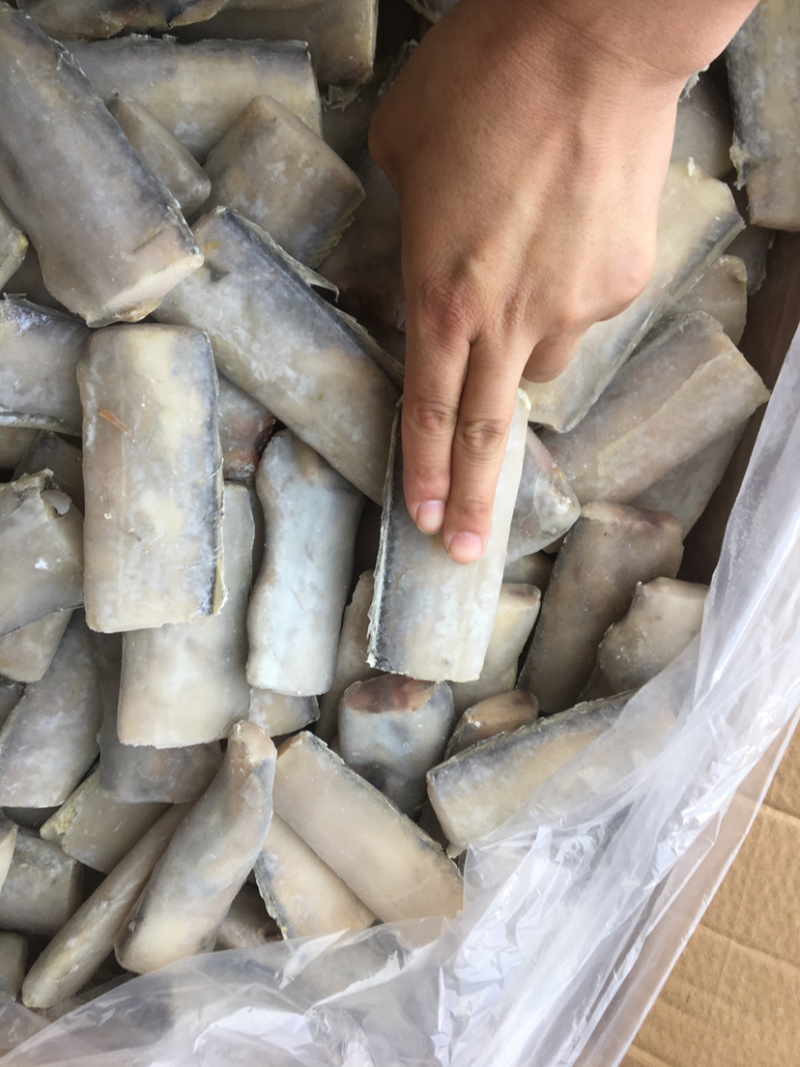 带鱼段，渤海湾精品带鱼段