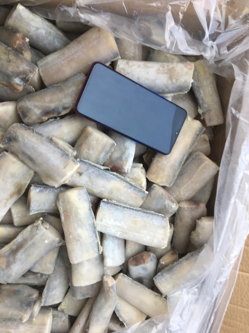 带鱼段，渤海湾精品带鱼段