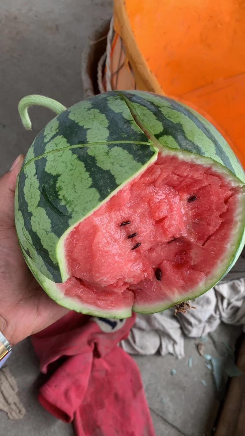 西瓜
