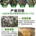 家禽粪便发酵剂家畜粪便发酵剂鸡鸭鹅粪便发酵剂