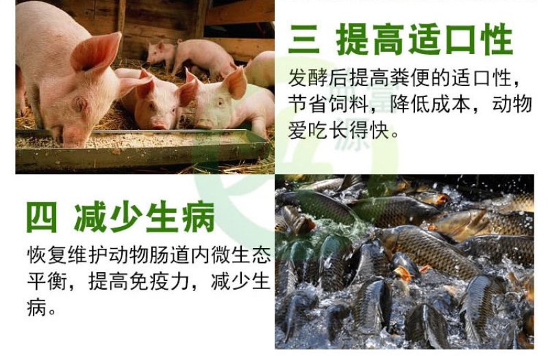 家禽粪便发酵剂家畜粪便发酵剂鸡鸭鹅粪便发酵剂