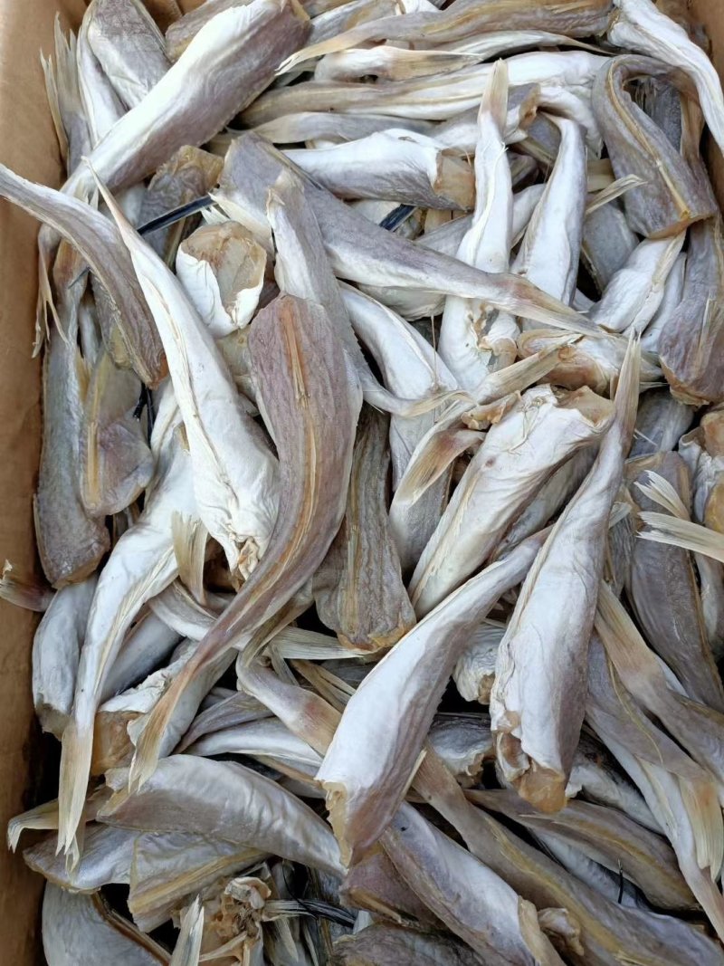皮棍鱼一款咸鱼，蒜瓣肉没有碎刺大量有货支持一件代发