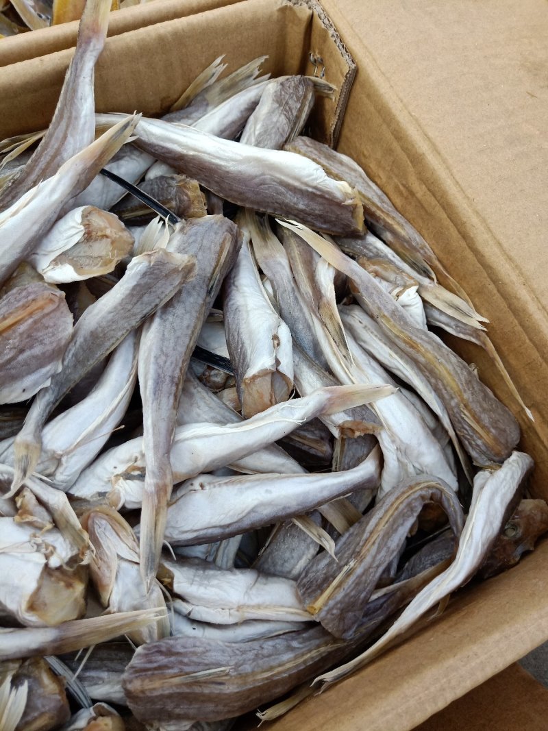 皮棍鱼一款咸鱼，蒜瓣肉没有碎刺大量有货支持一件代发
