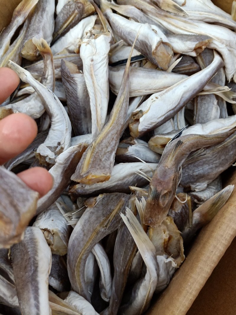 皮棍鱼一款咸鱼，蒜瓣肉没有碎刺大量有货支持一件代发