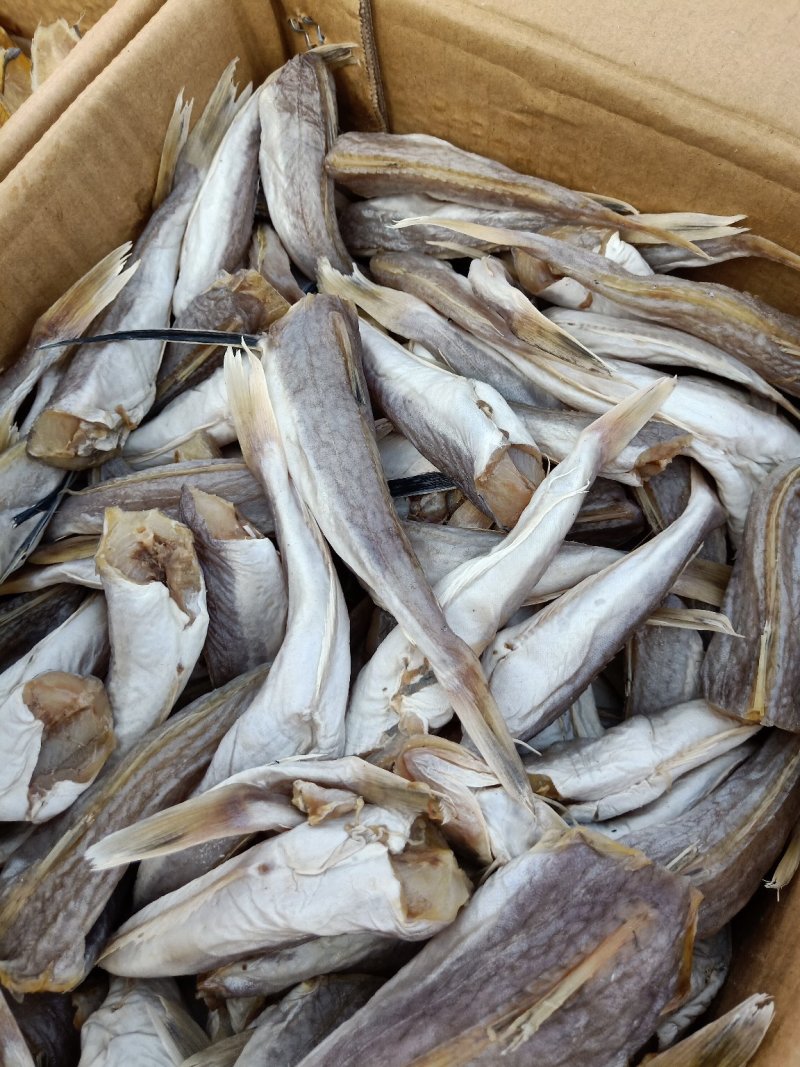 皮棍鱼一款咸鱼，蒜瓣肉没有碎刺大量有货支持一件代发