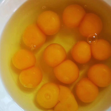 土鸡蛋散养鸡蛋