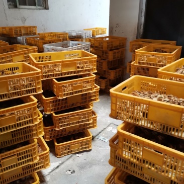 灵山土鸡苗