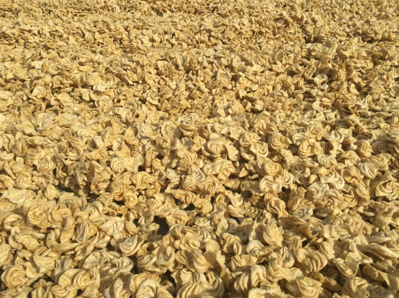 豆制品东北大豆耳厂家直销批发零售花翅猫耳