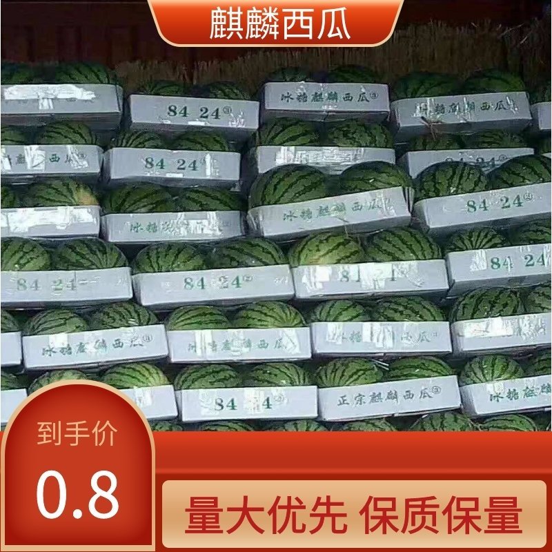 麒麟西瓜保质保量7斤打底8成熟头茬