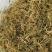 半边莲急解索、细米草、水仙花草半边莲