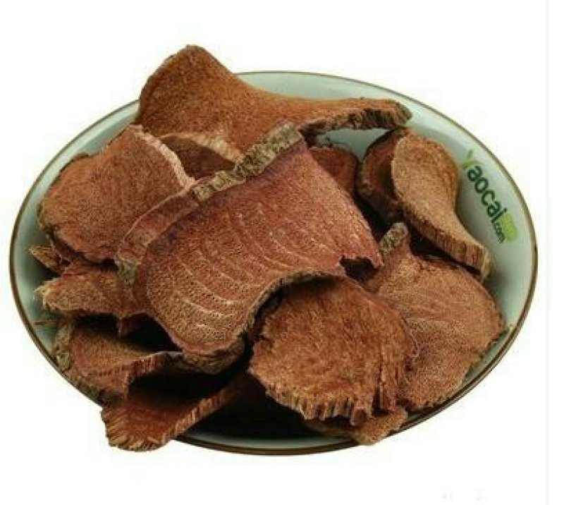 过江龙过岗龙蒲地虎、地蜈蚣地刷子过江龙