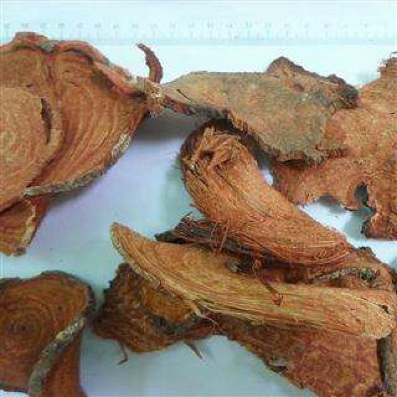 过江龙过岗龙蒲地虎、地蜈蚣地刷子过江龙