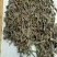 猫须草猫须公猫须草干中药材