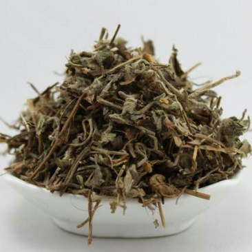 鸡冠果草野杨梅蛇含草、蛇泡草、蛇盘草蛇莓