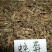 鸡冠果草野杨梅蛇含草、蛇泡草、蛇盘草蛇莓