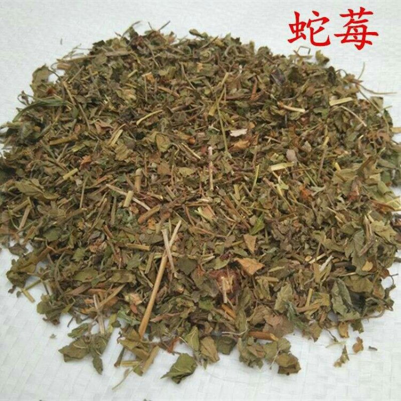 鸡冠果草野杨梅蛇含草、蛇泡草、蛇盘草蛇莓