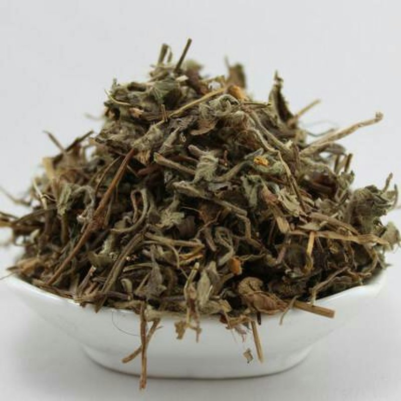 鸡冠果草野杨梅蛇含草、蛇泡草、蛇盘草蛇莓