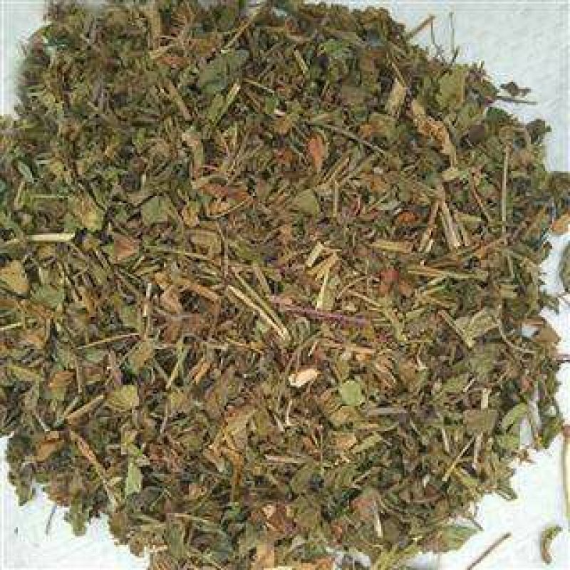 鸡冠果草野杨梅蛇含草、蛇泡草、蛇盘草蛇莓